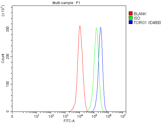 a05045 1 tcirg1 primary antibodies fcm testing 1