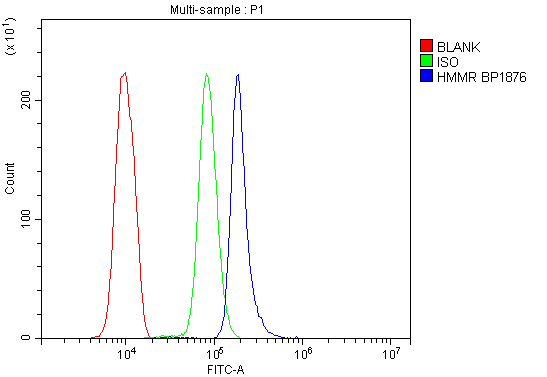 a05056 1 hmmr primary antibodies fc testing 2