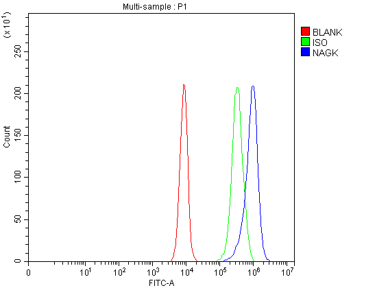 a05057 1 nagk primary antibodies fcm testing 4