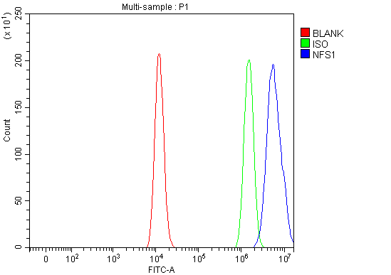 a05061 1 nfs1 primary antibodies fcm testing 2