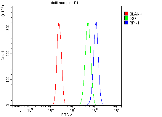 a05063 2 rpn1 primary antibodies fcm testing 7