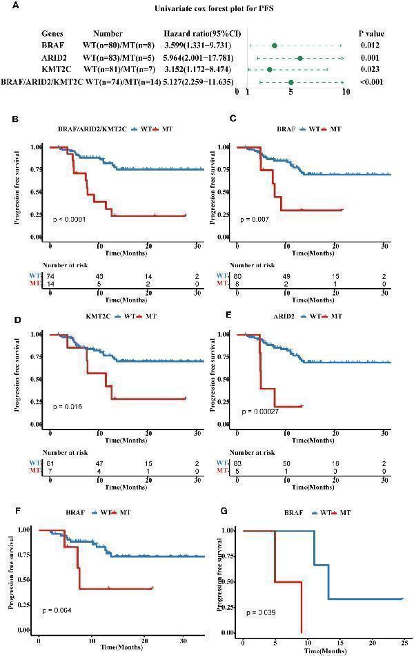 a05064 fonc 13 1285508 g003