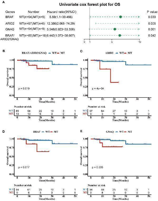 a05064 fonc 13 1285508 g004