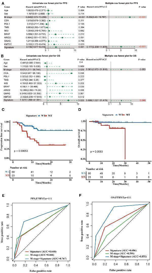 a05064 fonc 13 1285508 g007