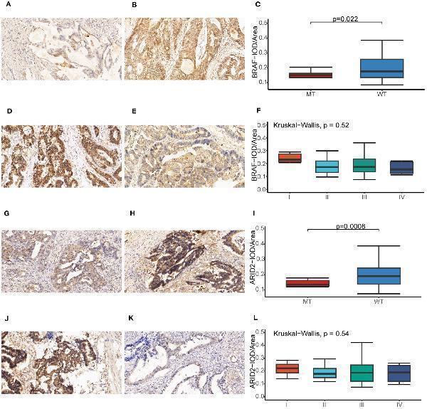 a05064 fonc 13 1285508 g010