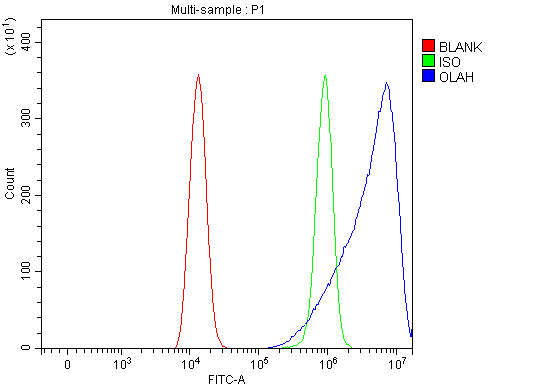  Flow Cytometry analysis of HEL cells using anti-OLAH antibody (A05069-3)