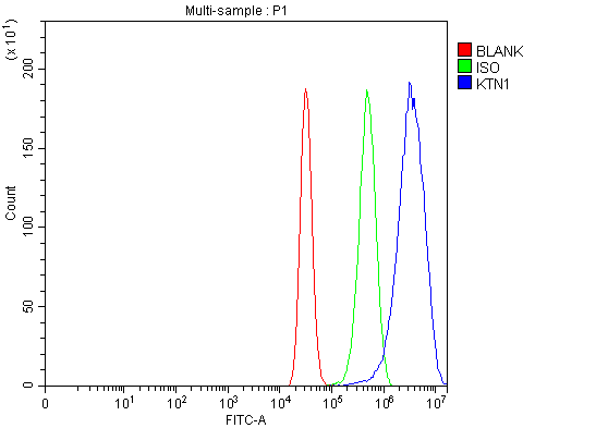 a05071 1 ktn1 primary antibodies fcm testing 8