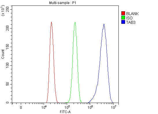  Flow Cytometry analysis of HL-60 cells using anti-TAB3 antibody (A05084-3)