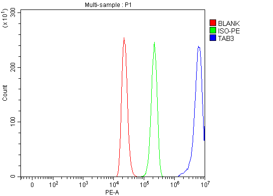  Flow Cytometry analysis of HL-60 cells using anti-TAB3 antibody (A05084-3)