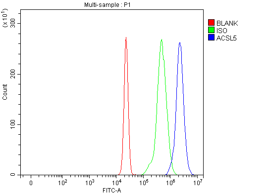 a05087 2 acsl5 primary antibodies fcm testing 2
