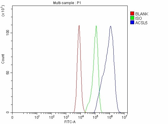 a05087 3 acsl5 primary antibodies fcm testing 2