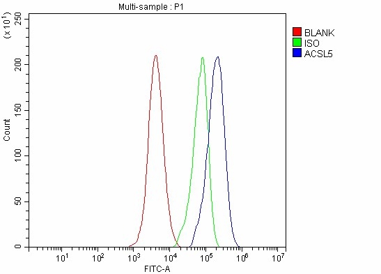 a05087 3 acsl5 primary antibodies fcm testing 3