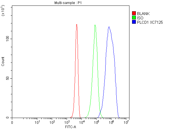 Flow Cytometry analysis of 293T cells using anti-PLCD1 antibody (A05094-1)