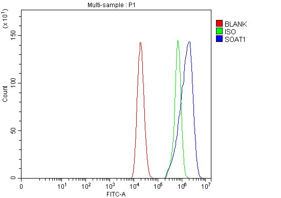 a05096 1 soat1 primary antibodies fcm testing 11