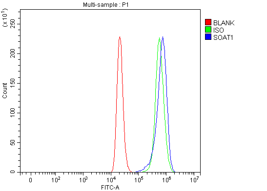 a05096 1 soat1 primary antibodies fcm testing 12