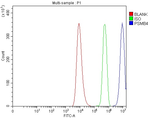 a05105 1 psmb4 primary antibodies fcm testing 1