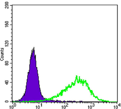 a05115 rab25 primary antibodies fcm testing 1