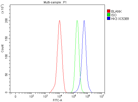 a05145 3 hk3 primary antibodies fcm testing 1