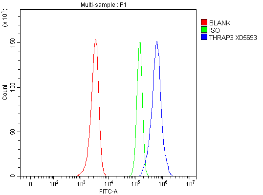 a05150 1 thrap3 primary antibodies fcm testing 1