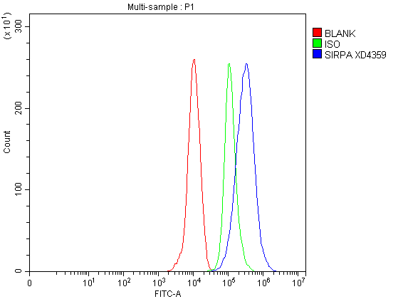 Flow Cytometry analysis of THP-1 cells using anti-SIRPA antibody (A05151-2)