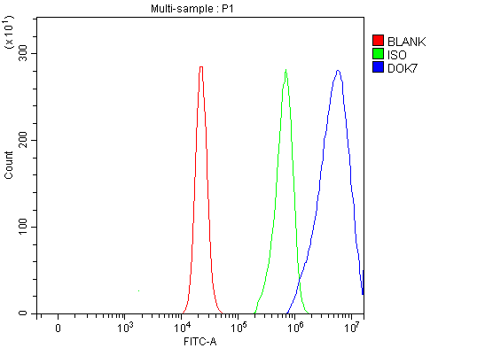 a05165 1 dok7 primary antibodies fcm testing 5