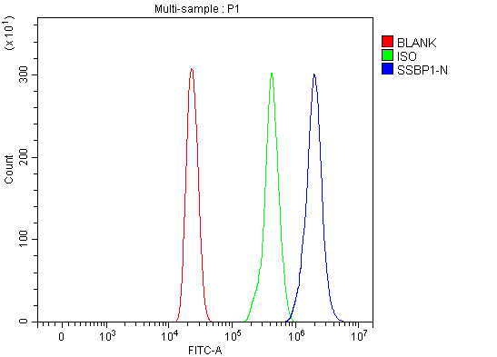 a05166 1 ssbp1 primary antibodies fcm testing 9