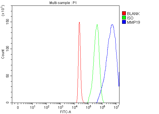 a05171 3 mmp19 primary antibodies fcm testing 6