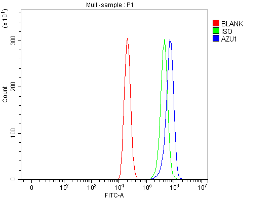  Flow Cytometry analysis of THP-1 cells using anti-Azurocidin/AZU1 antibody (A05212-1)