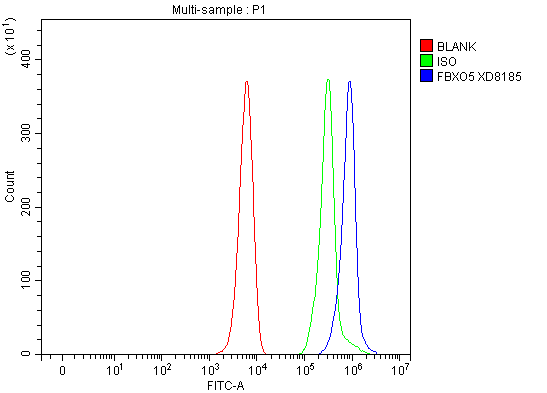 Flow Cytometry analysis of K562 cells using anti-FBXO5 antibody (A05229-1)