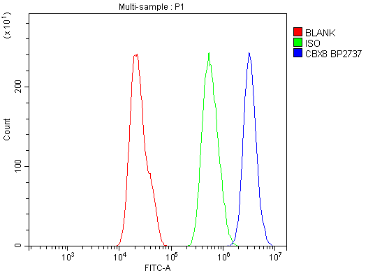 a05234 2 cbx8 primary antibodies fcm testing 6