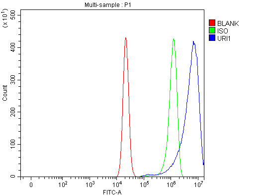 a05245 2 uri1 primary antibodies fcm testing 2