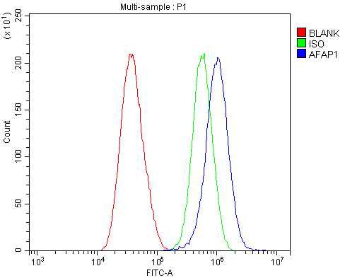 a05258 3 afap primary antibodies fcm testing 2