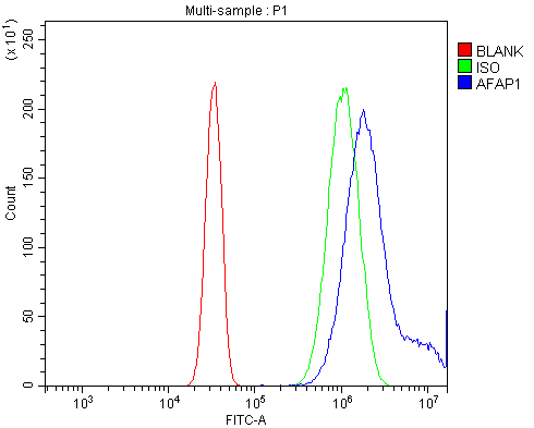 a05258 3 afap primary antibodies fcm testing 3
