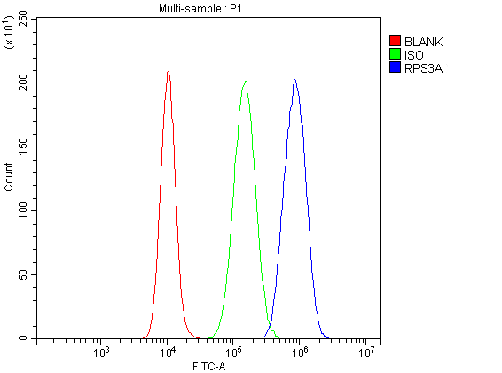 a05268 1 rps3a primary antibodies fcm testing 1