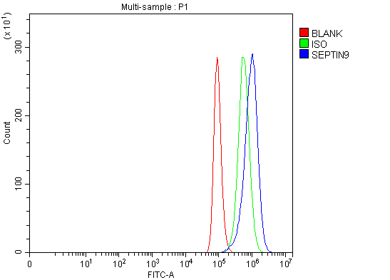 a05279 3 septin9 primary antibodies fcm testing 8