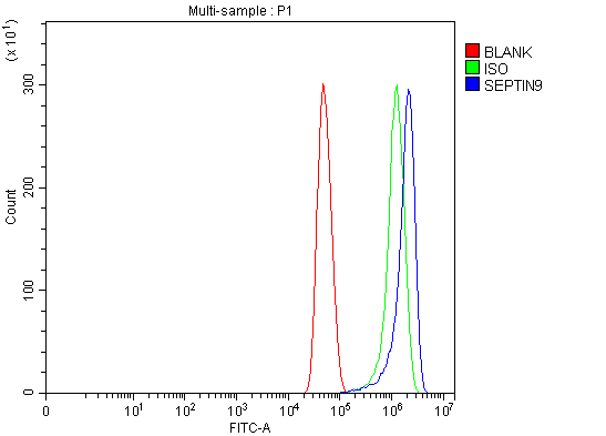 a05279 3 septin9 primary antibodies fcm testing 9