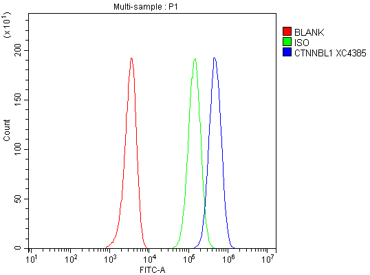  Flow Cytometry analysis of HEL cells using anti-CTNNBL1 antibody (A05286-1)