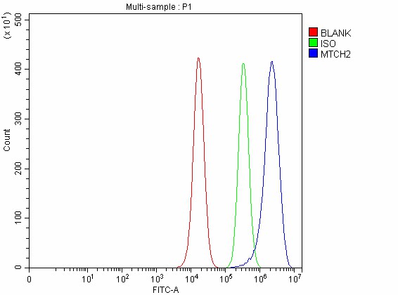a05288 1 mtch2 primary antibodies fcm testing 7