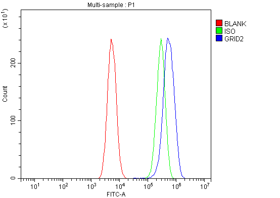 a05305 2 grid2 primary antibodies fcm testing 2