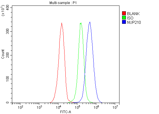 a05308 nup210 primary antibodies fcm testing 6