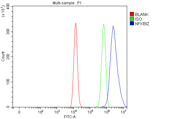  Flow Cytometry analysis of HEL cells using anti-NFKBIZ antibody (A05312-1)