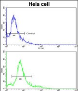 a05313 1 anti hmgcs1 antibody center fc testing 3