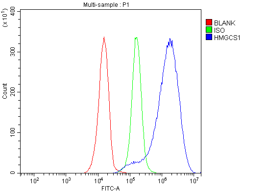 a05313 2 hmgcs1 primary antibodies fcm testing 9