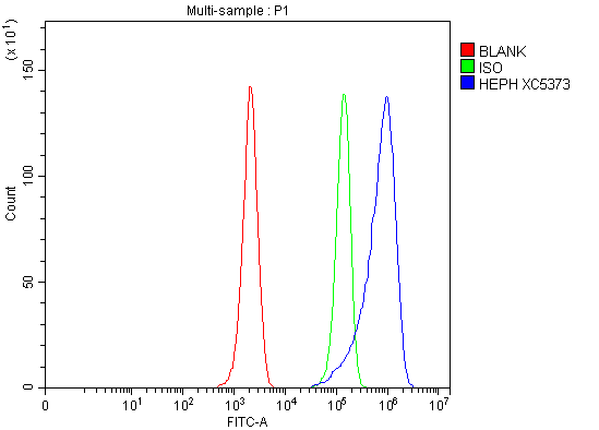 a05316 1 heph primary antibodies fcm testing 1