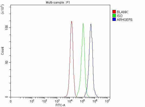  Flow Cytometry analysis of PC-3 cells using anti-ARHGEF6 antibody (A05317-1)