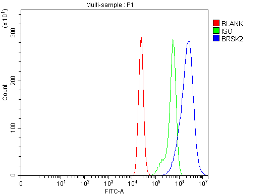  Flow Cytometry analysis of CACO-2 cells using anti-BRSK2 antibody (A05321-2)