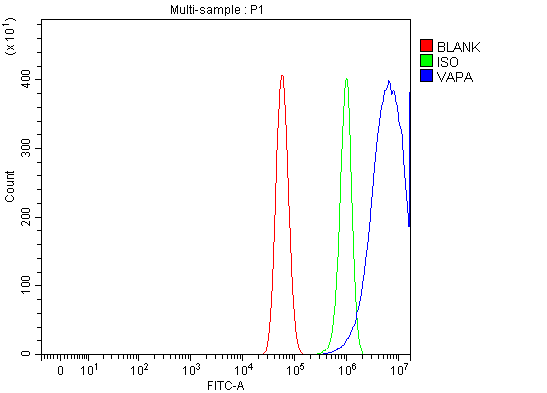 a05329 1 vapa primary antibodies fcm testing 11