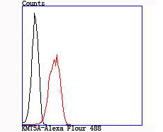 a05349 1 kmt5a primary antiboties fcm testing 2