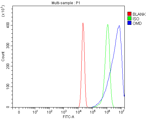  Flow Cytometry analysis of U20S cells using anti-OMD antibody (A05351-1)