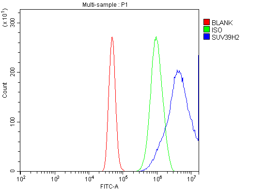 a05361 2 suv39h2 primary antibodies fcm testing 10_1